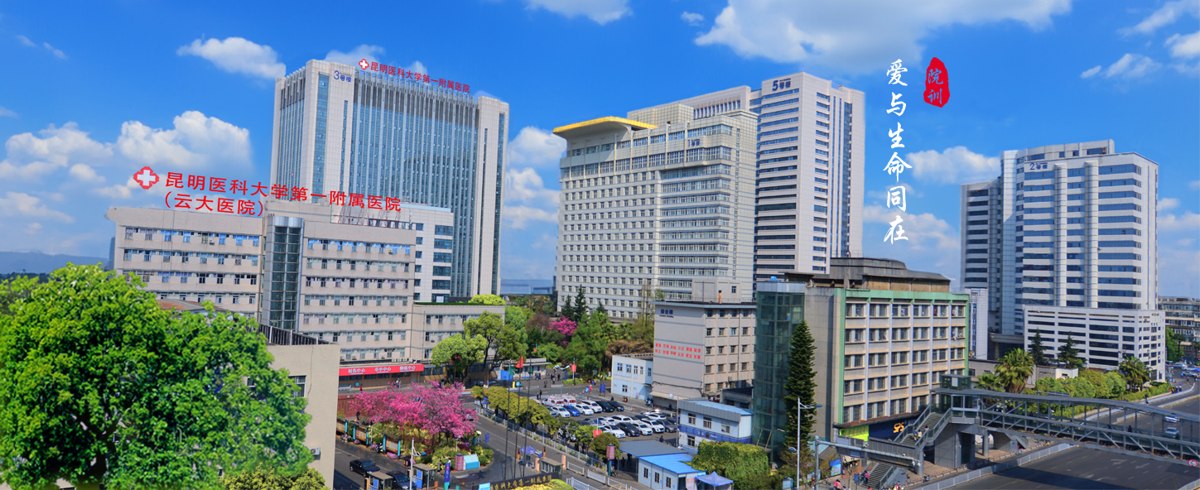 The First Affiliated Hospital of Kunming Medical University